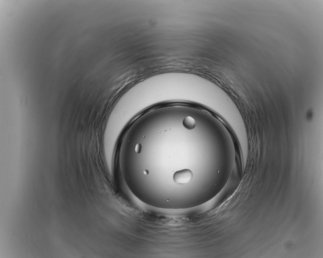 X0000095540128200712211356