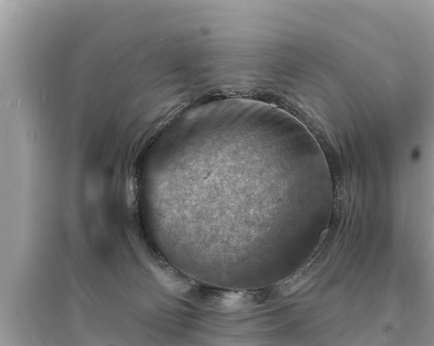 X0000095540130200712211356