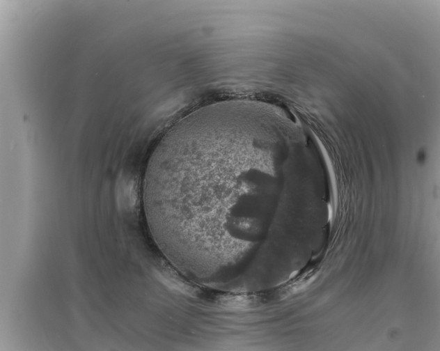 X0000095540131200712211356