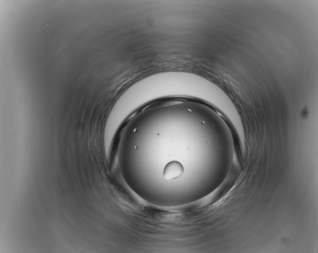 X0000095540132200712211356