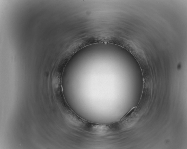 X0000095540133200712211356