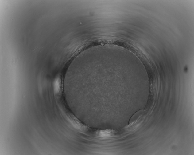 X0000095540134200712211356