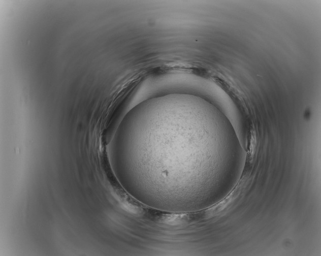 X0000095540136200712211356