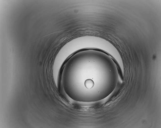 X0000095540137200712211356