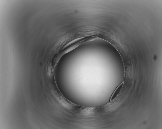 X0000095540138200712211356