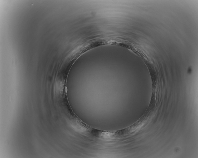 X0000095540139200712211356