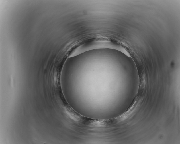 X0000095540140200712211356