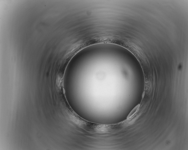 X0000095540142200712211356