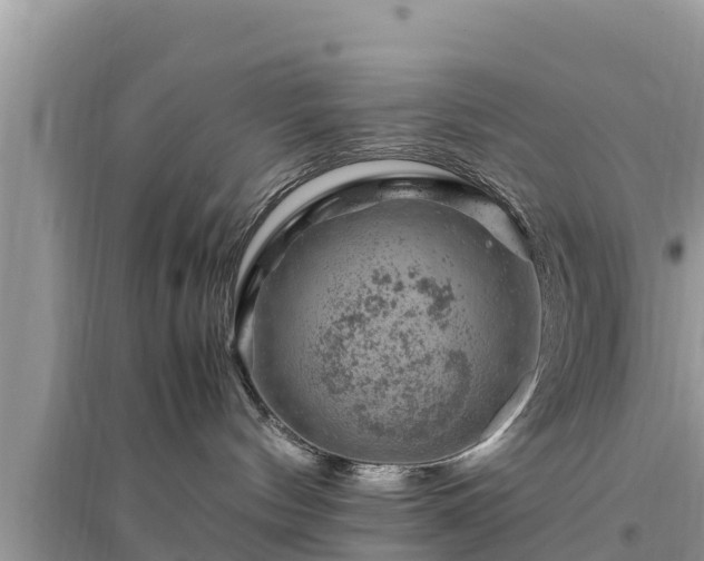 X0000095540144200712211356