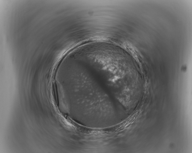 X0000095540145200712211355