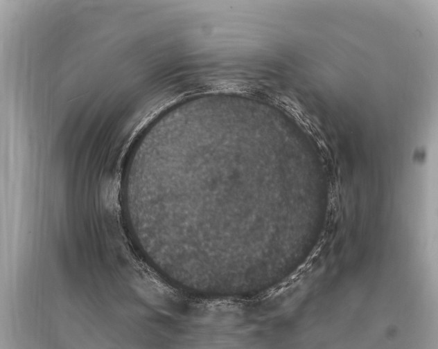 X0000095540146200712211355