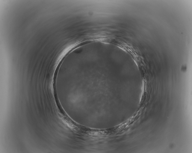 X0000095540147200712211355