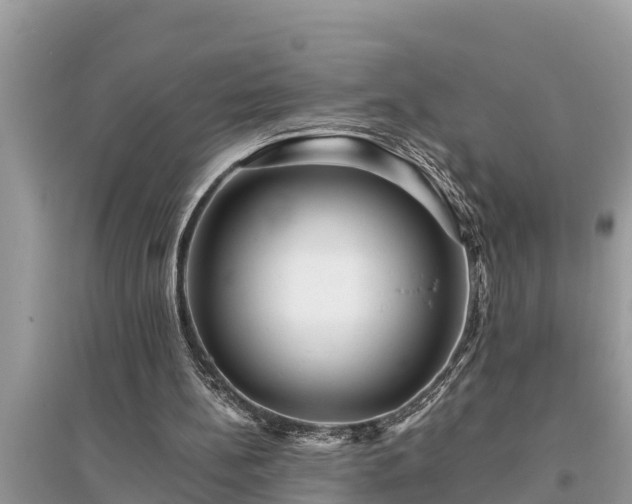 X0000095540148200712211355