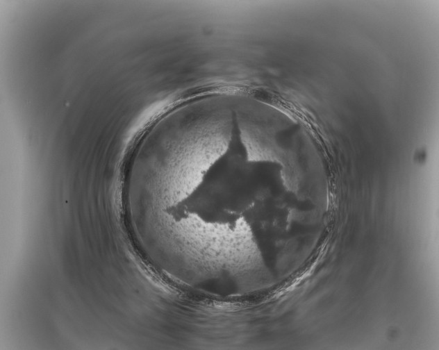 X0000095540149200712211355