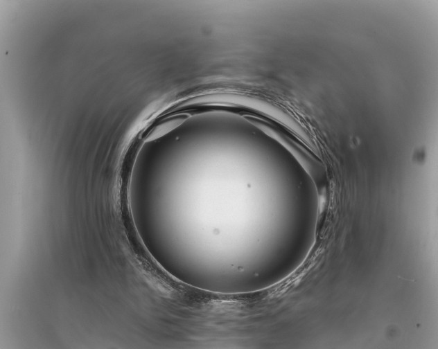 X0000095540150200712211355