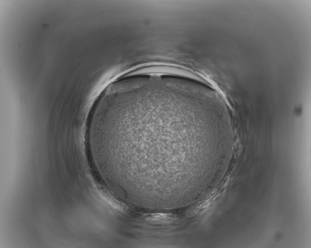 X0000095540151200712211355