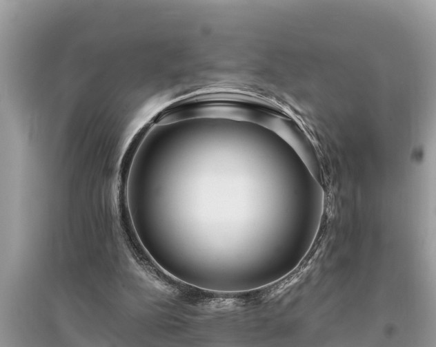 X0000095540152200712211355