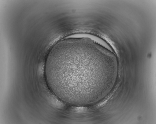 X0000095540153200712211355