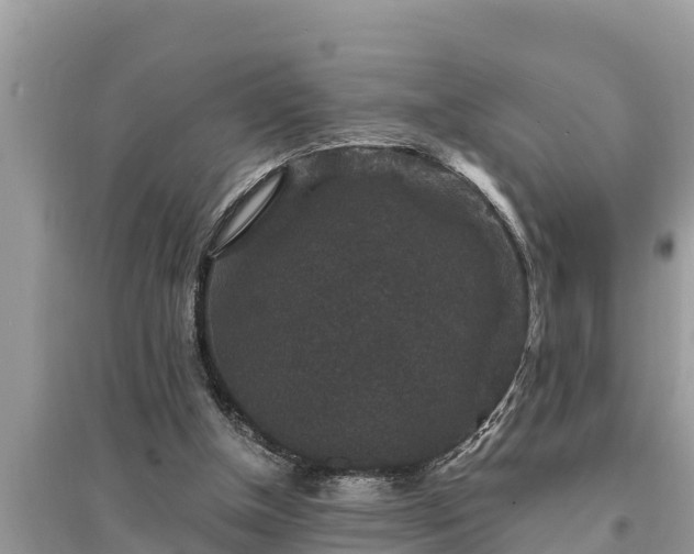 X0000095540154200712211355