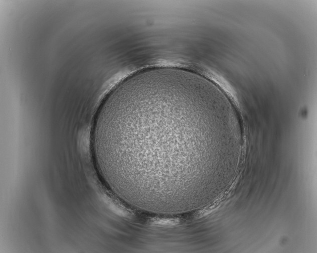 X0000095540155200712211355