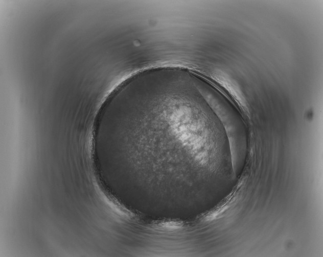 X0000095540156200712211355