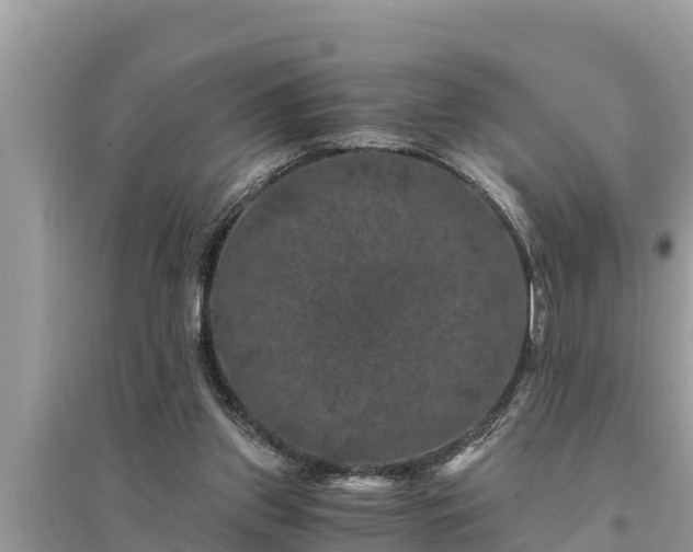 X0000095540157200712211355