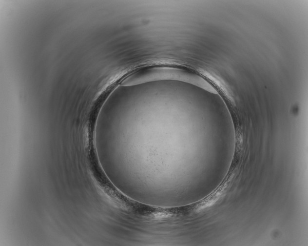 X0000095540158200712211355