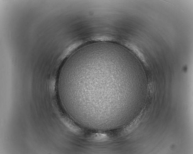 X0000095540159200712211355