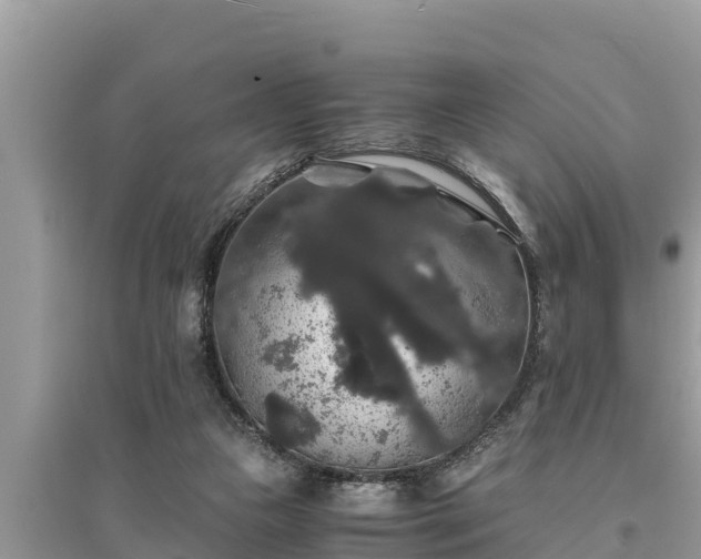 X0000095540161200712211355