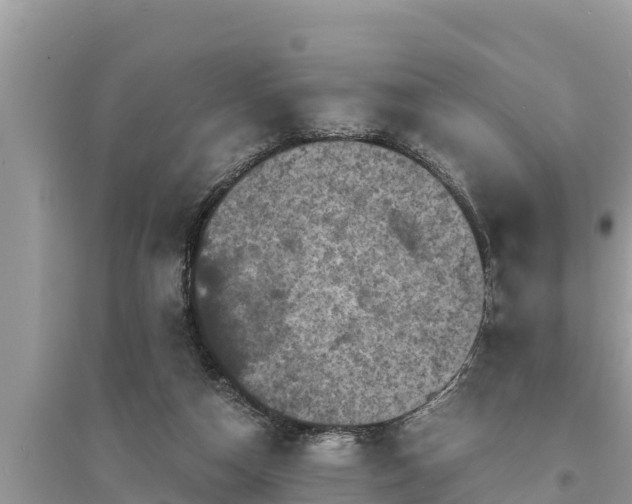 X0000095540162200712211355