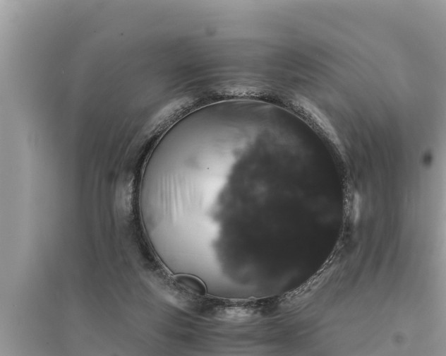 X0000095540163200712211355