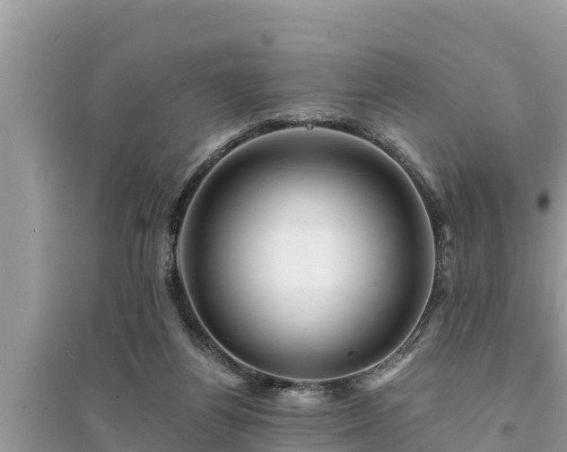 X0000095540164200712211355