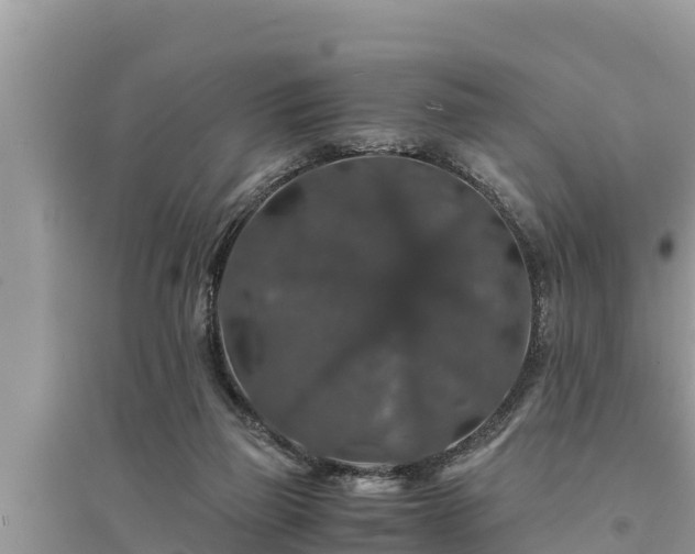 X0000095540165200712211355