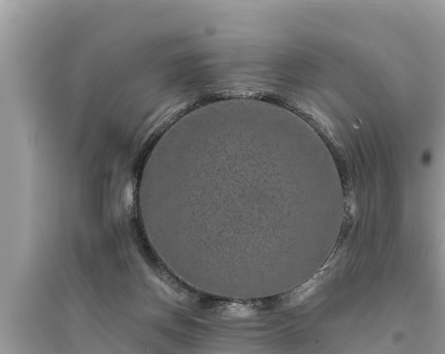 X0000095540166200712211355