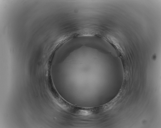 X0000095540167200712211355