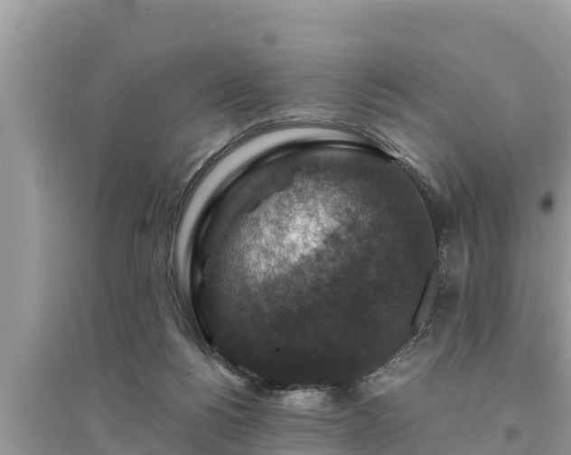 X0000095540168200712211355