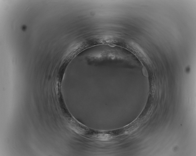 X0000095540169200712211355