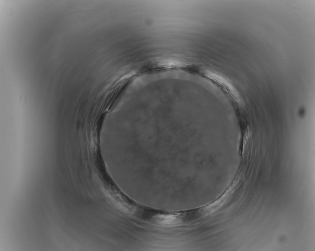 X0000095540170200712211355