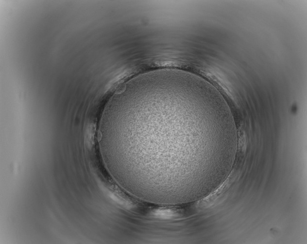 X0000095540171200712211355