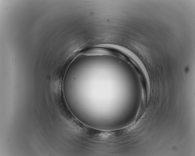 X0000095540172200712211355