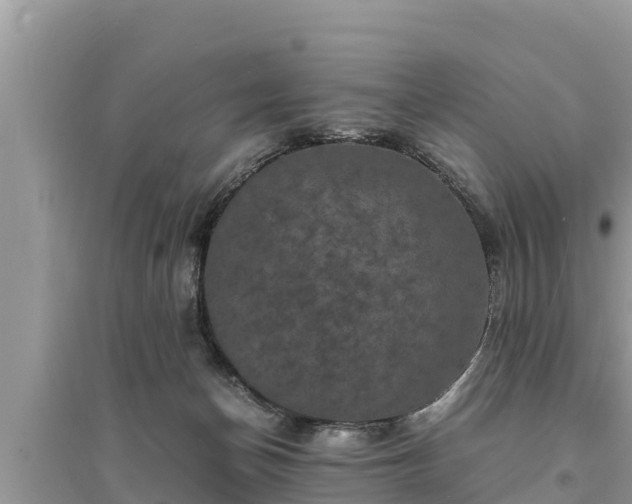 X0000095540174200712211355