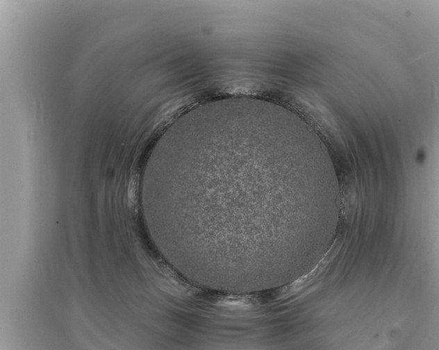 X0000095540175200712211355