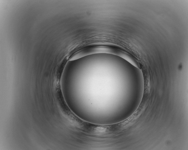 X0000095540176200712211355