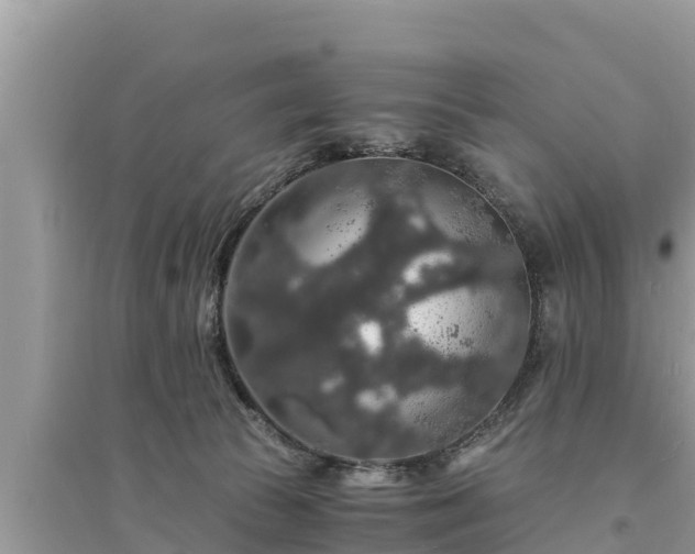 X0000095540177200712211355