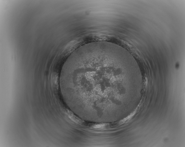 X0000095540178200712211355