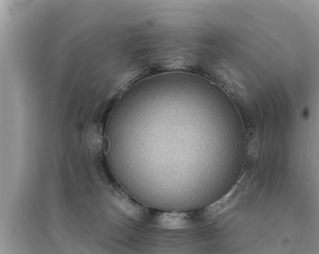 X0000095540179200712211355