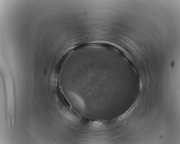 X0000095540180200712211355