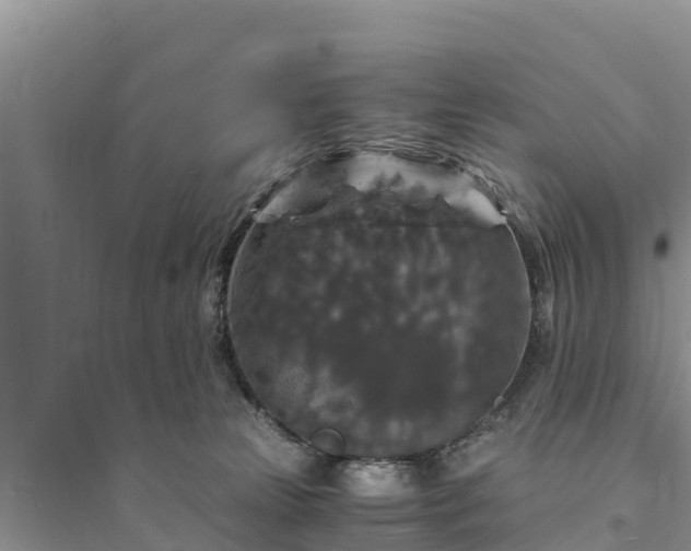 X0000095540181200712211355