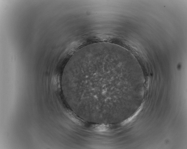 X0000095540182200712211355