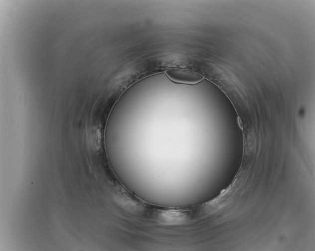 X0000095540183200712211355